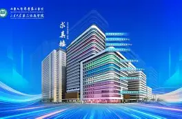 重磅：Rookie完整赛程请查收(rookie team)